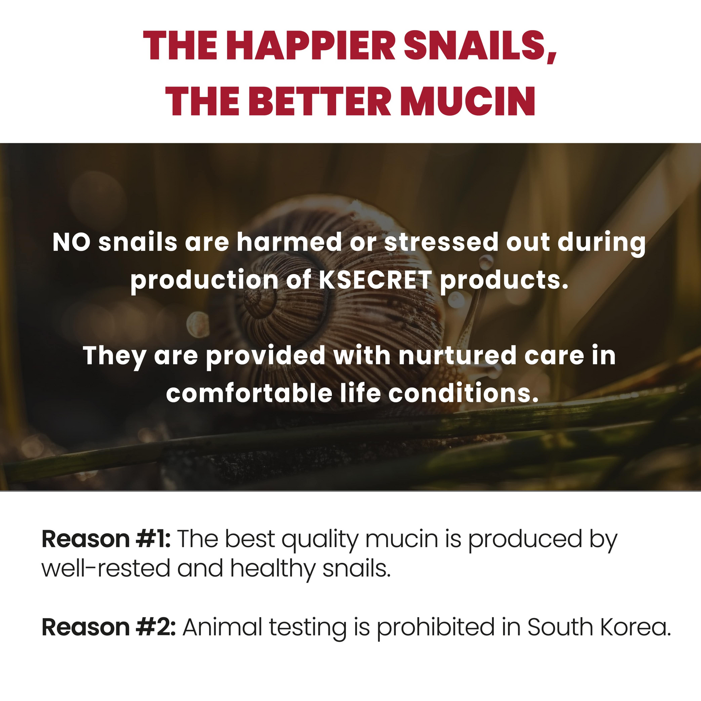 Seoul 1988 Essence : Snail Mucin 93% + Rice 100ml