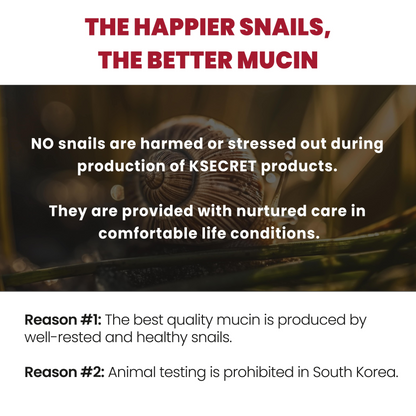 Seoul 1988 Essence : Snail Mucin 93% + Rice 100ml